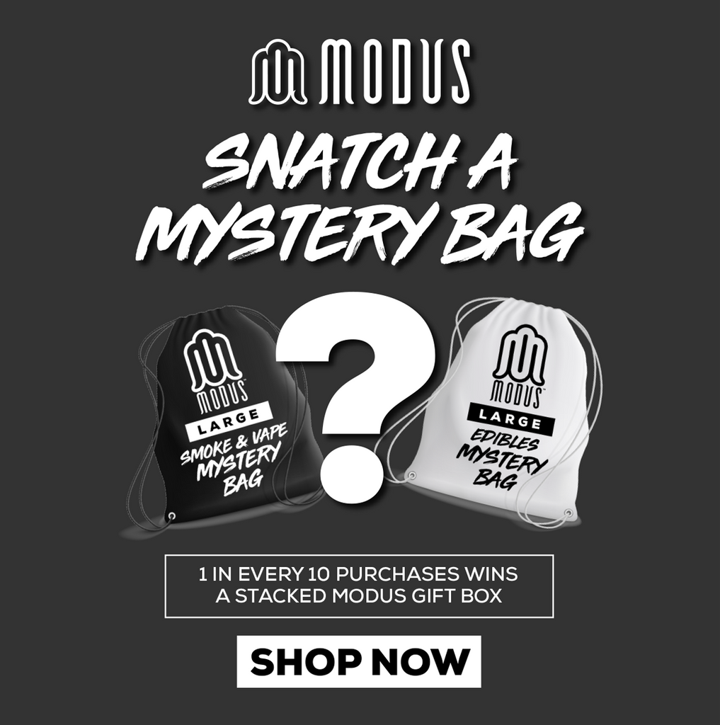 MODUS MYSTERY BAGS