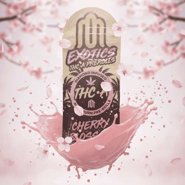 CHERRY BLOSSOM (INDICA)